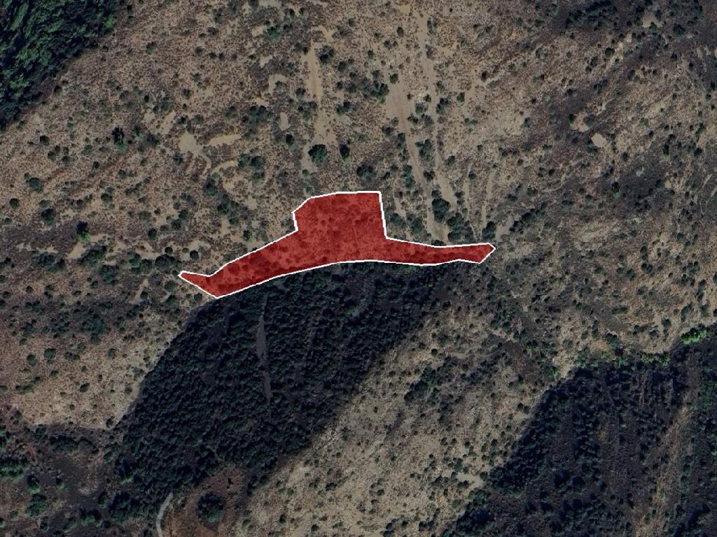 Field-Kampi-PR41868