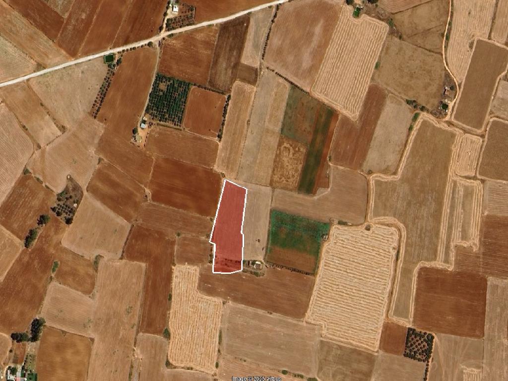 Field-Avgorou-PR42511