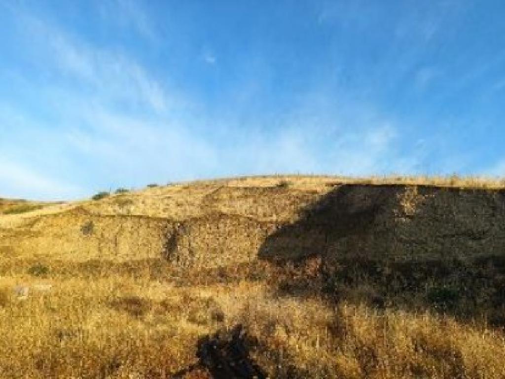 Field-Orounta-PR45064