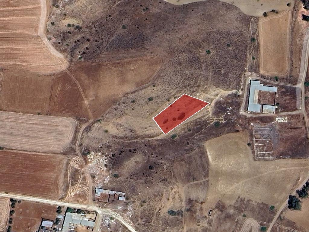 Field-Orounta-PR45064