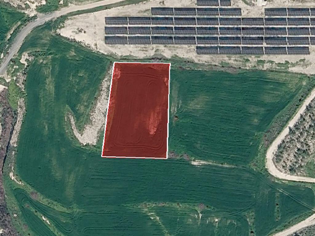 Field (share) - Aradippou, Larnaca