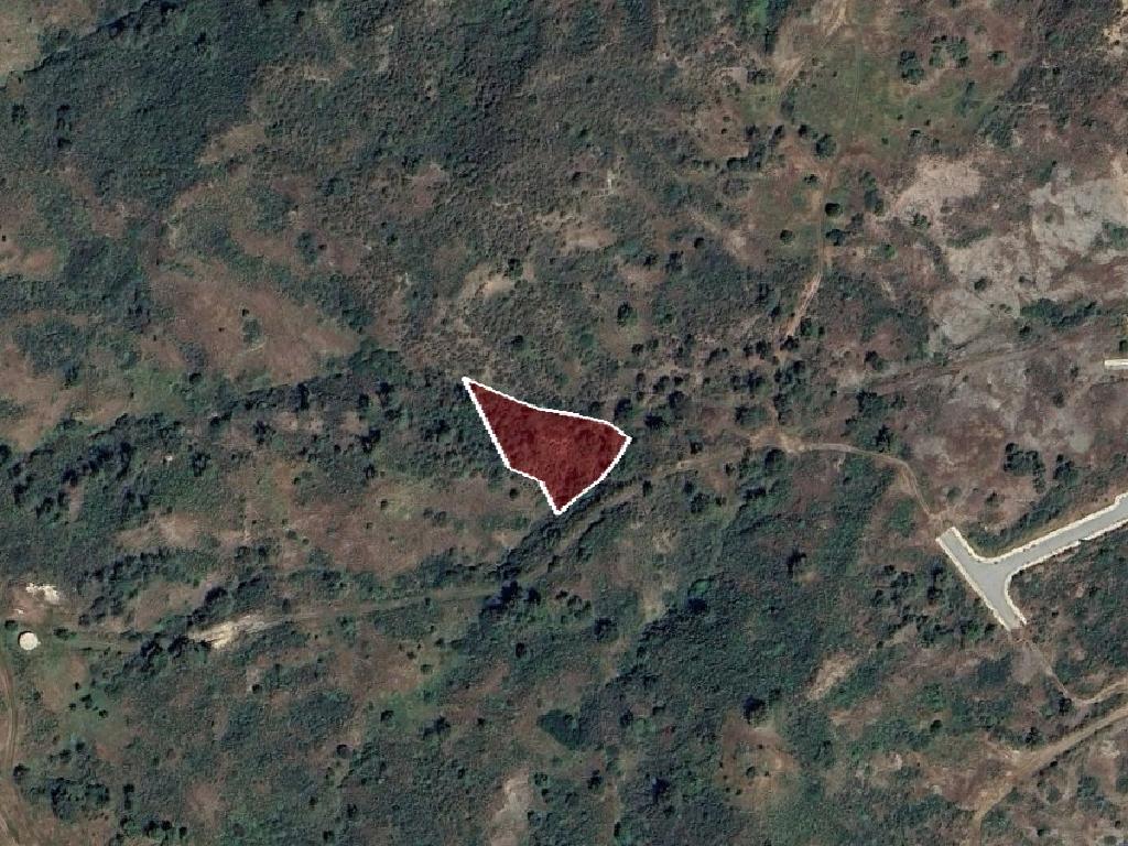 Field-Pigenia-PR13469