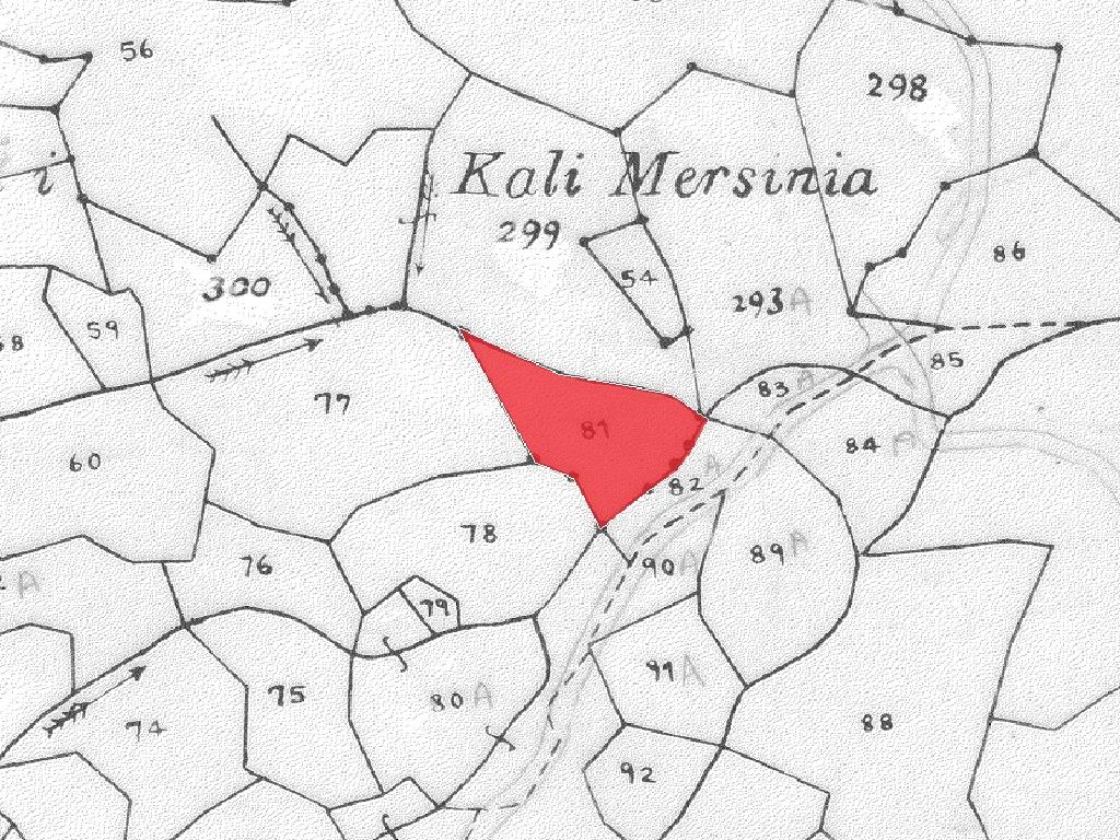 Field-Pigenia-PR13469