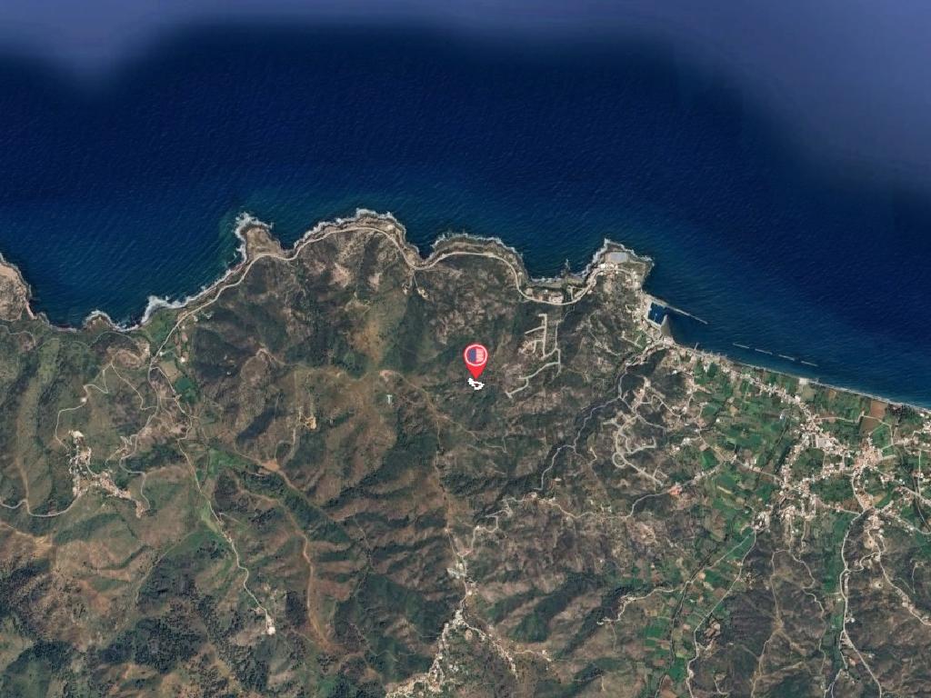 Field-Pigenia-PR13469