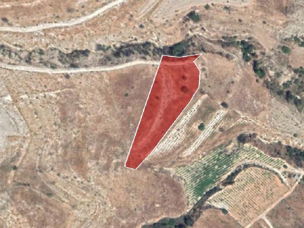 Field-Pachna-PR34010