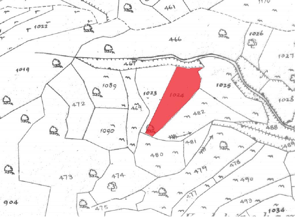 Field-Pachna-PR34010