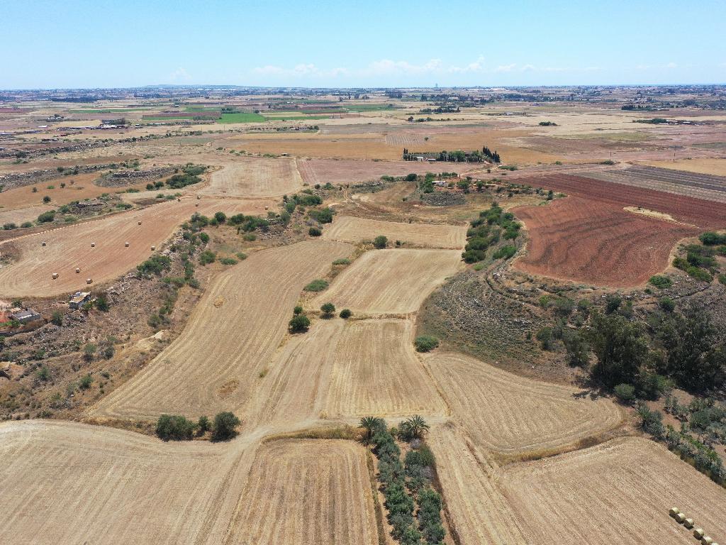 Field-Avgorou-PR34406