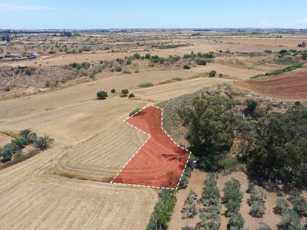 Field-Avgorou-PR34406