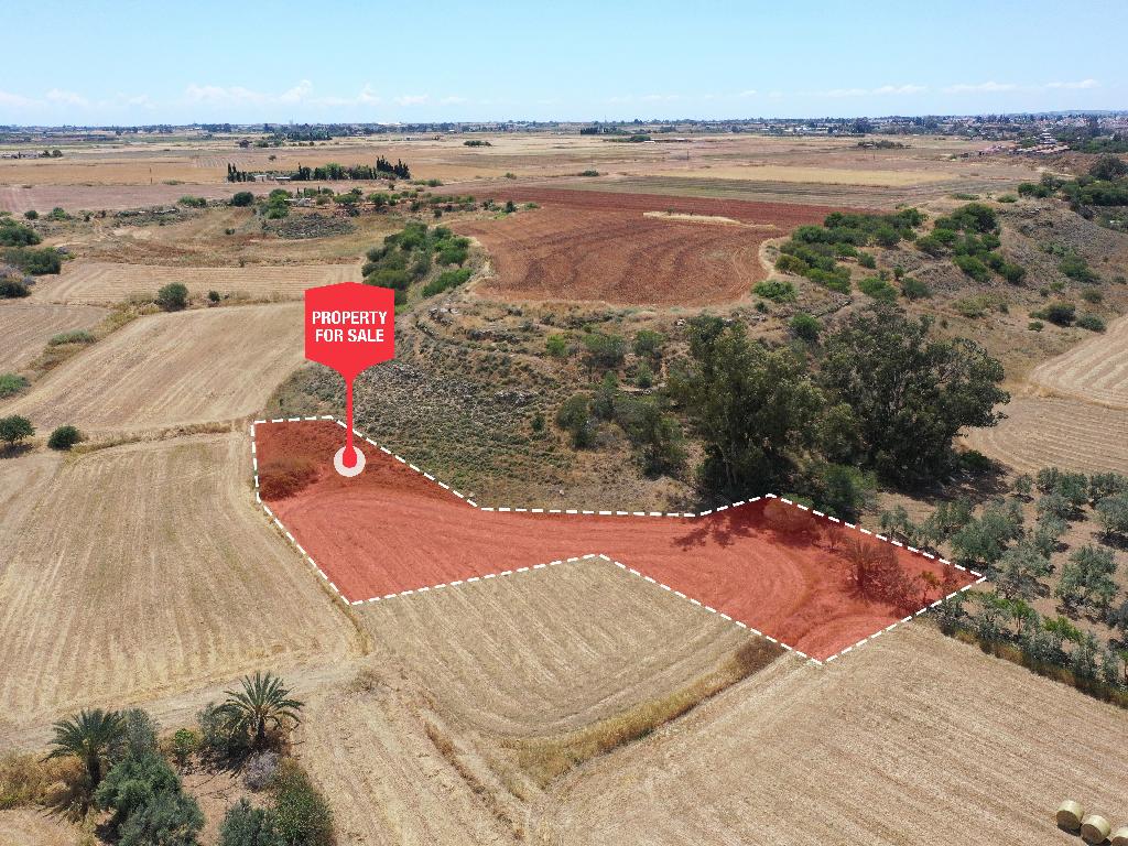 Field-Avgorou-PR34406