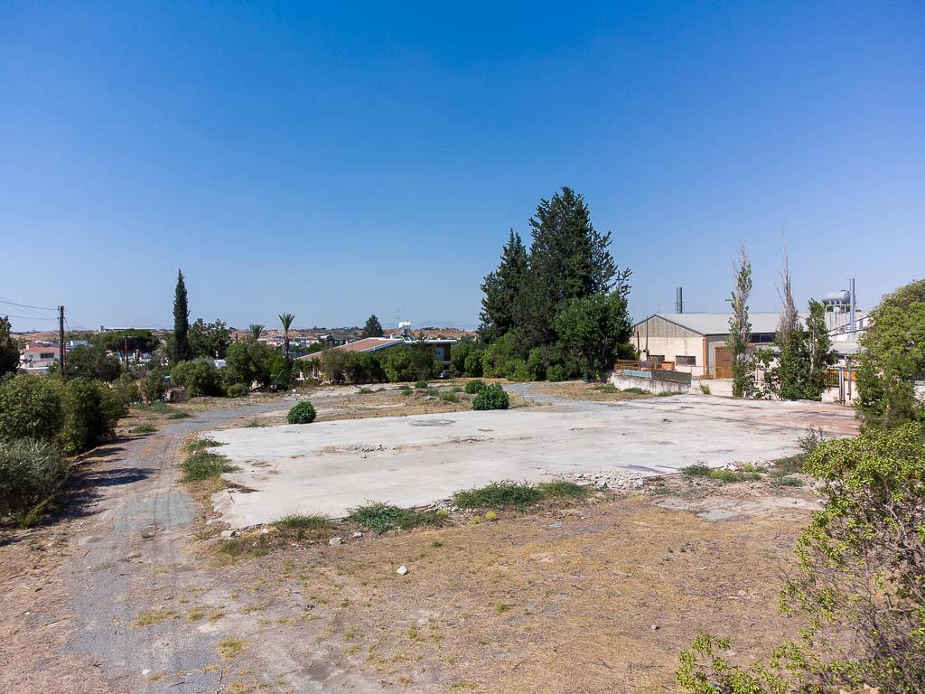 Field-Pera Chorio-PR33976