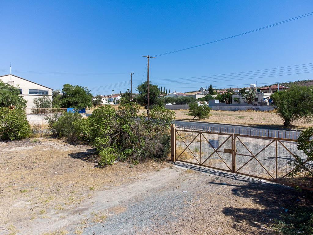 Field-Pera Chorio-PR33976