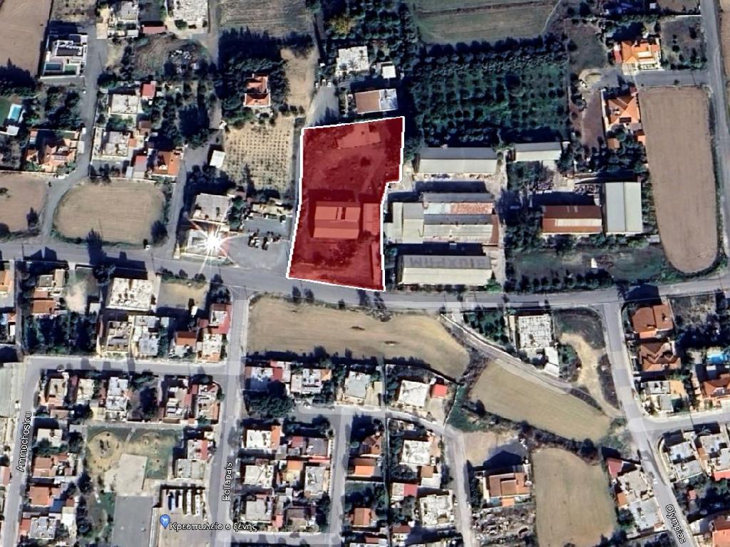 Field-Pera Chorio-PR33976