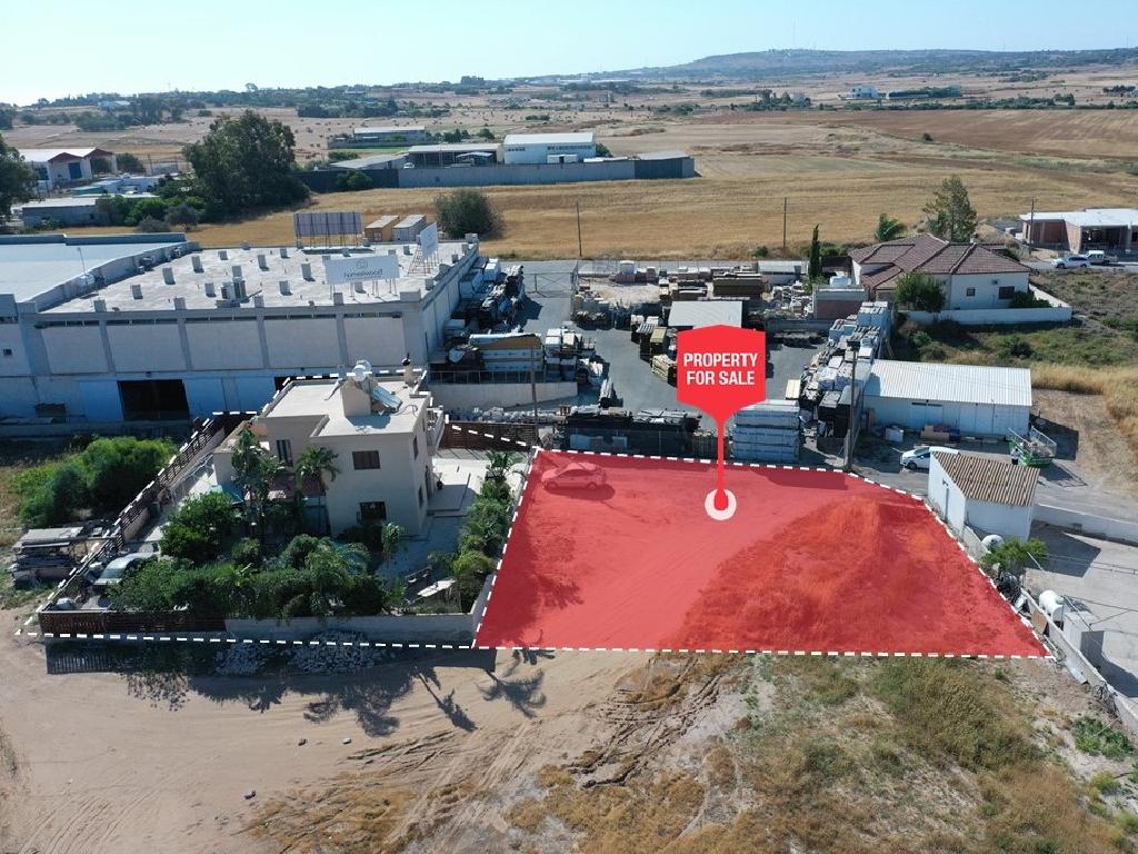 Field-Paralimni-PR35413