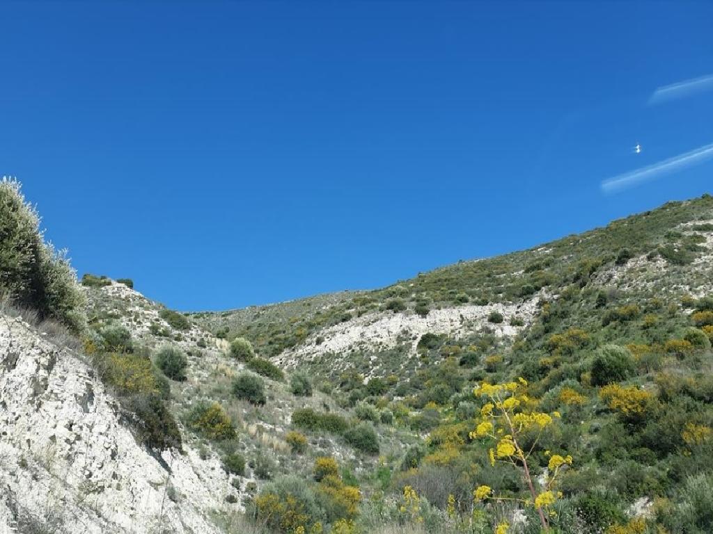 Field - Tochni, Larnaca