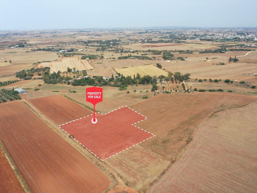 Field-Avgorou-PR36579