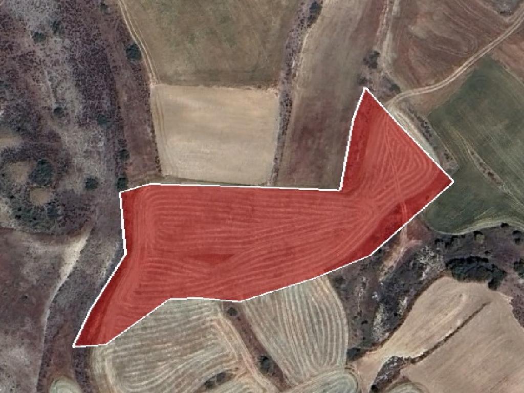 Field-Meniko-PR38866
