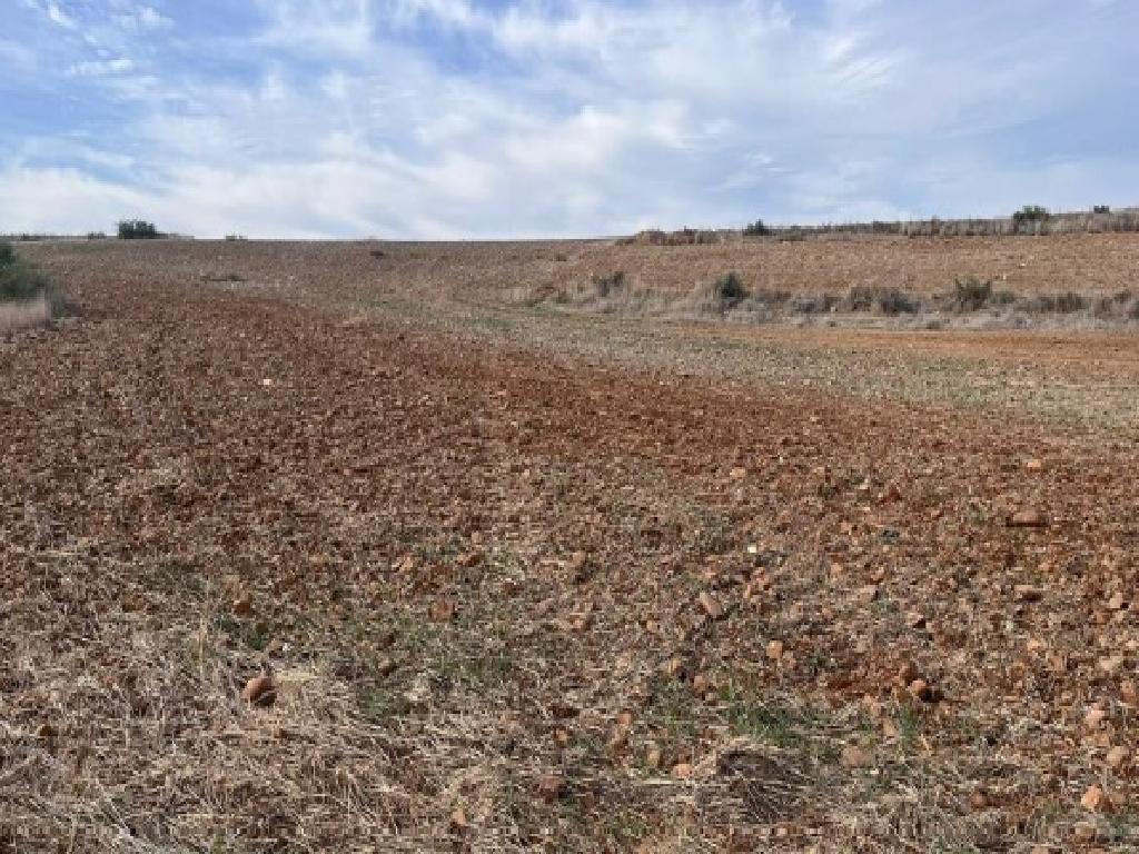 Field-Meniko-PR38866