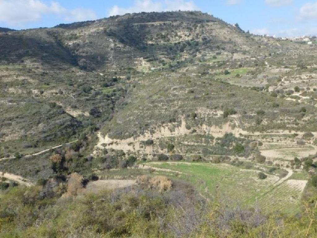 Field-Dora-PR38941
