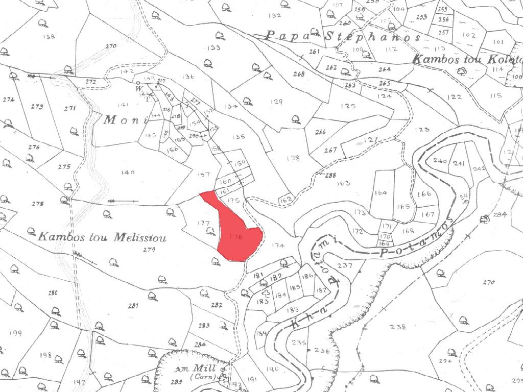 Field-Dora-PR38941
