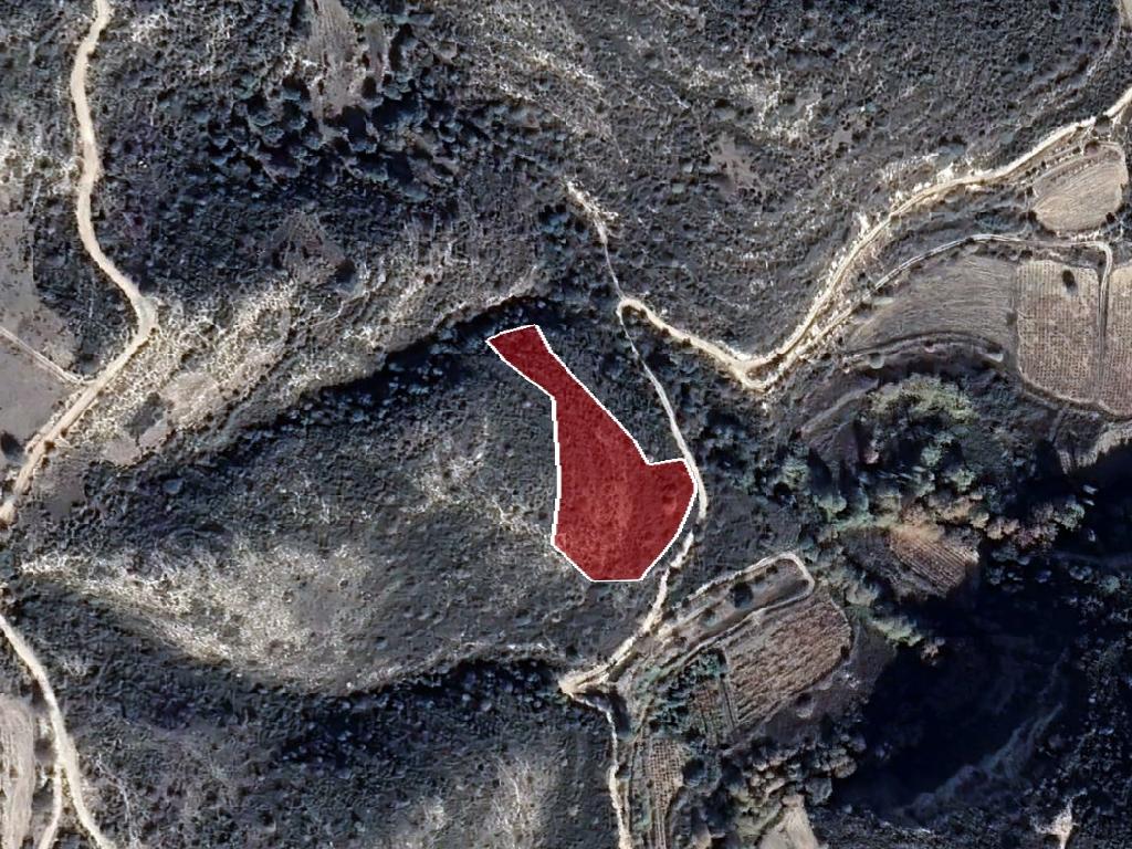 Field-Dora-PR38941