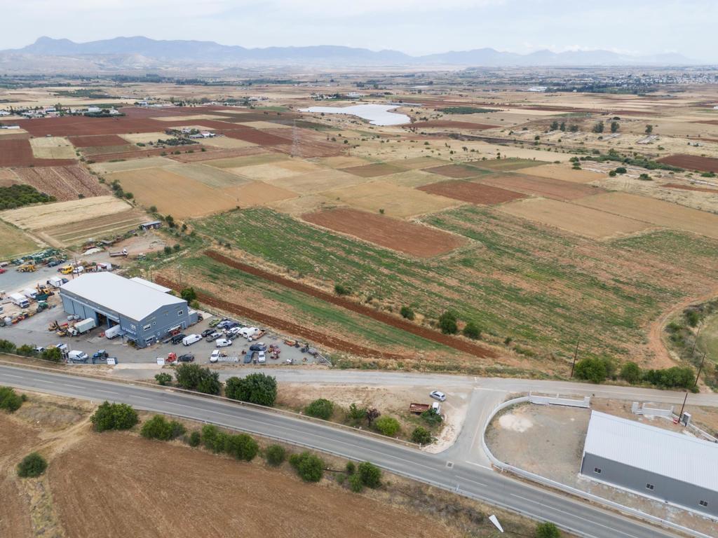 Field-Peristerona-PR39687
