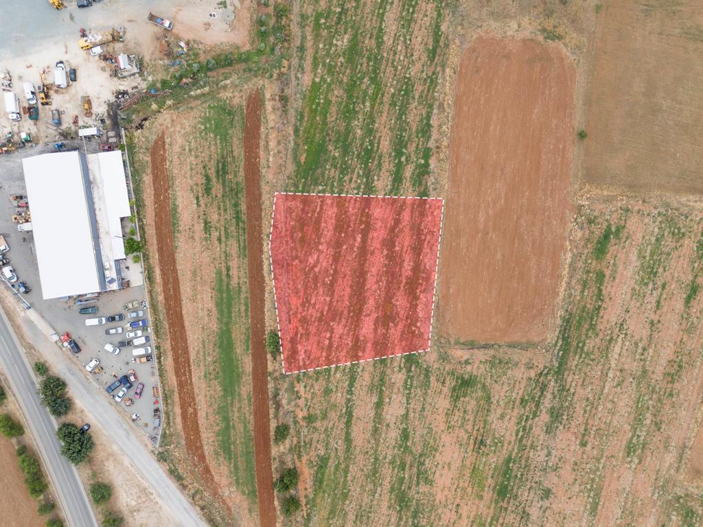 Field - Peristerona, Nicosia