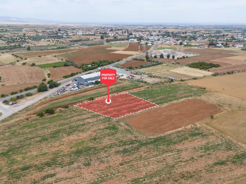 Field - Peristerona, Nicosia