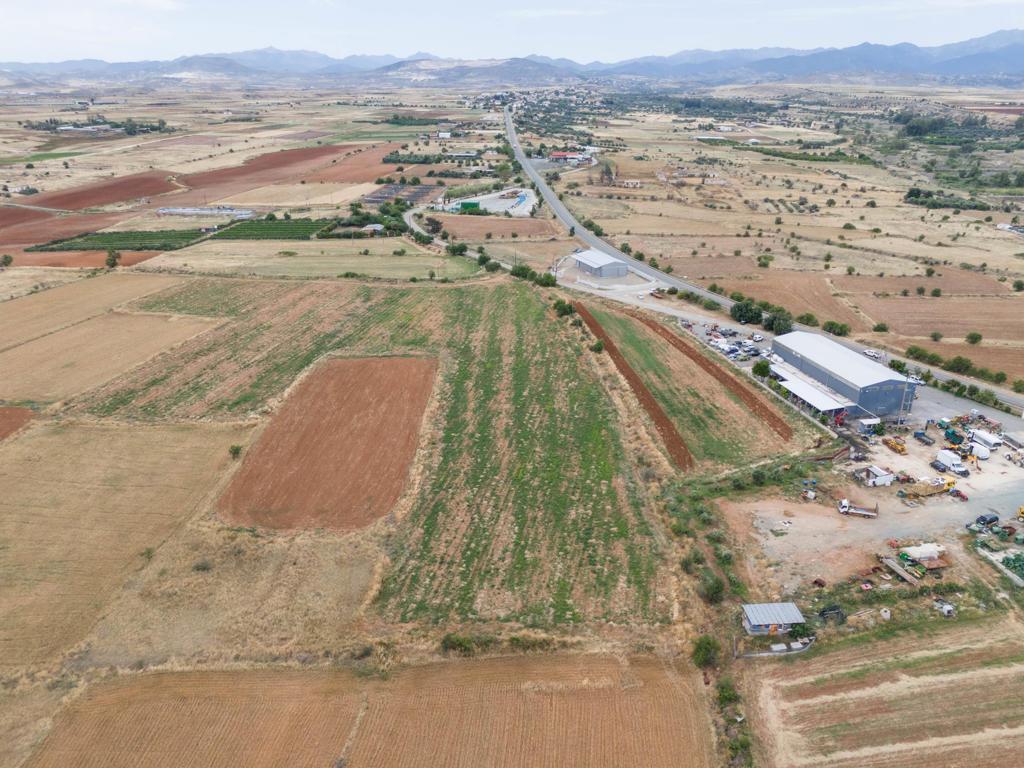 Field - Peristerona, Nicosia
