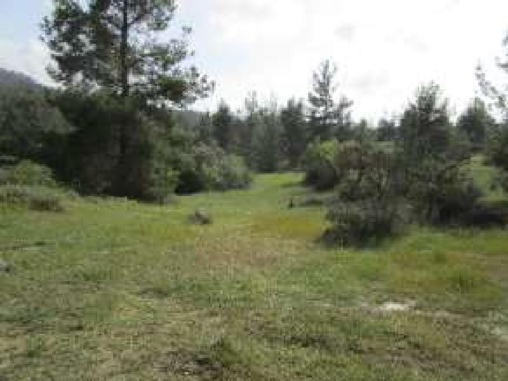 Field (Share) - Mitsero, Nicosia