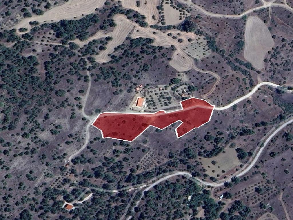 Field (Share) - Mitsero, Nicosia
