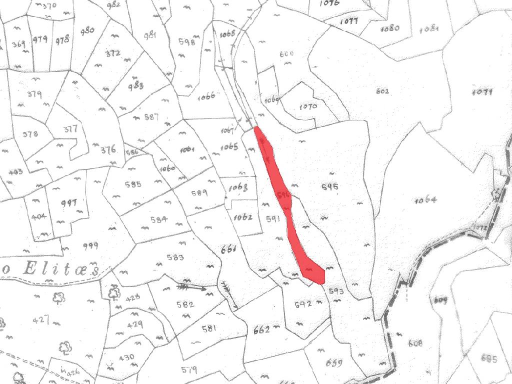 Field-Pachna-PR41373