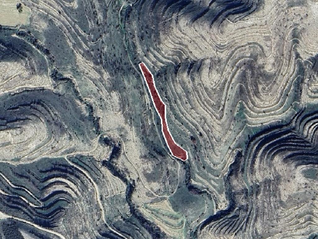 Field-Pachna-PR41373