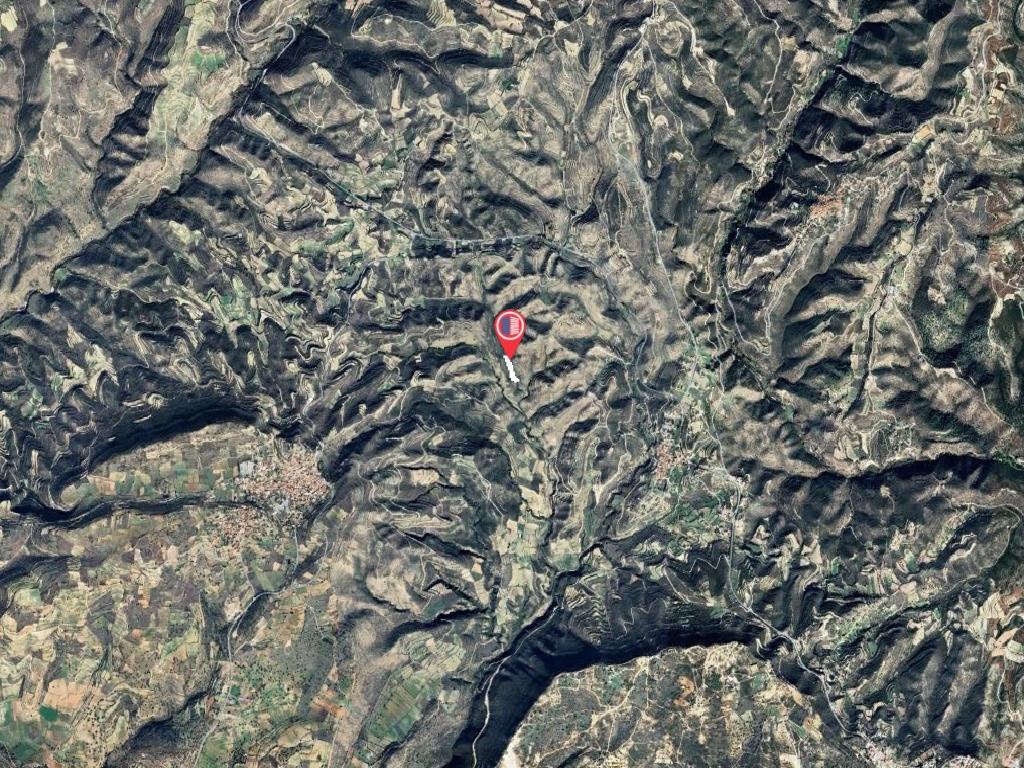 Field-Pachna-PR41373