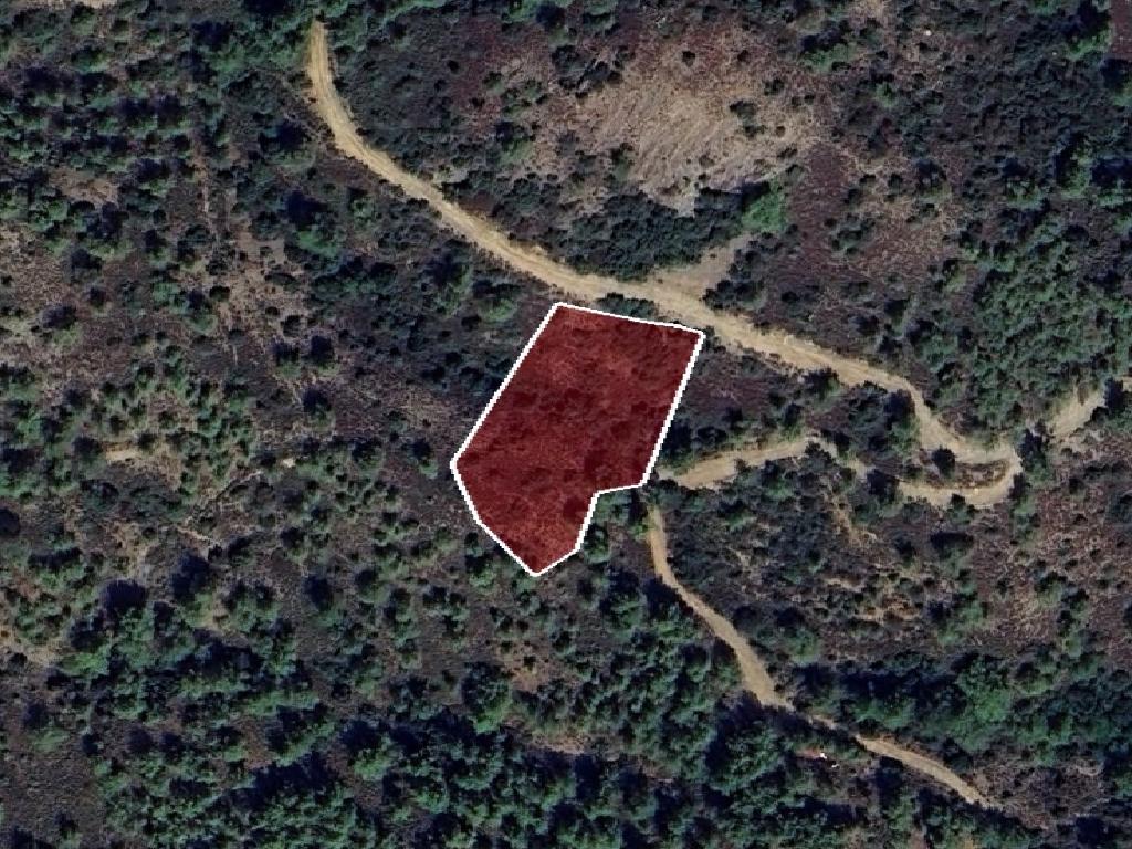 Field-Vavatsinia-PR41733