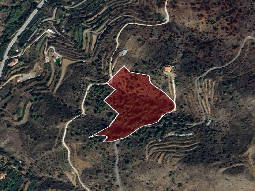 Field-Farmakas-PR41870