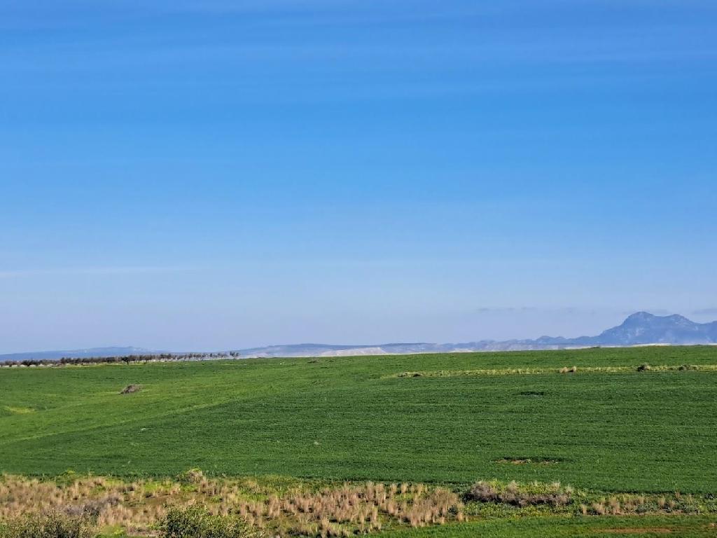 Fields &ndash; Peristerona, Nicosia
