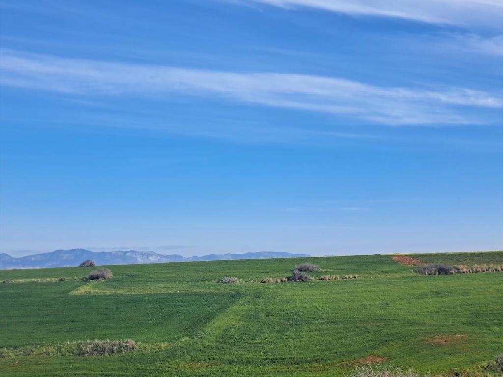 Fields &ndash; Peristerona, Nicosia