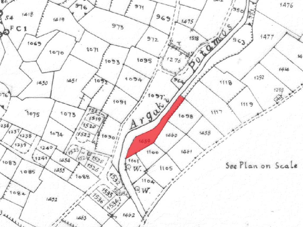 Field-Pera-PR12156