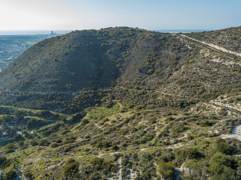 Field - Kalavasos, Larnaca