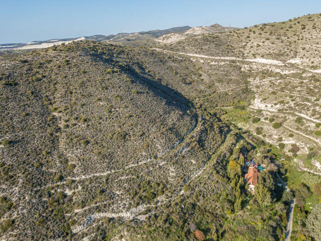 Field - Kalavasos, Larnaca