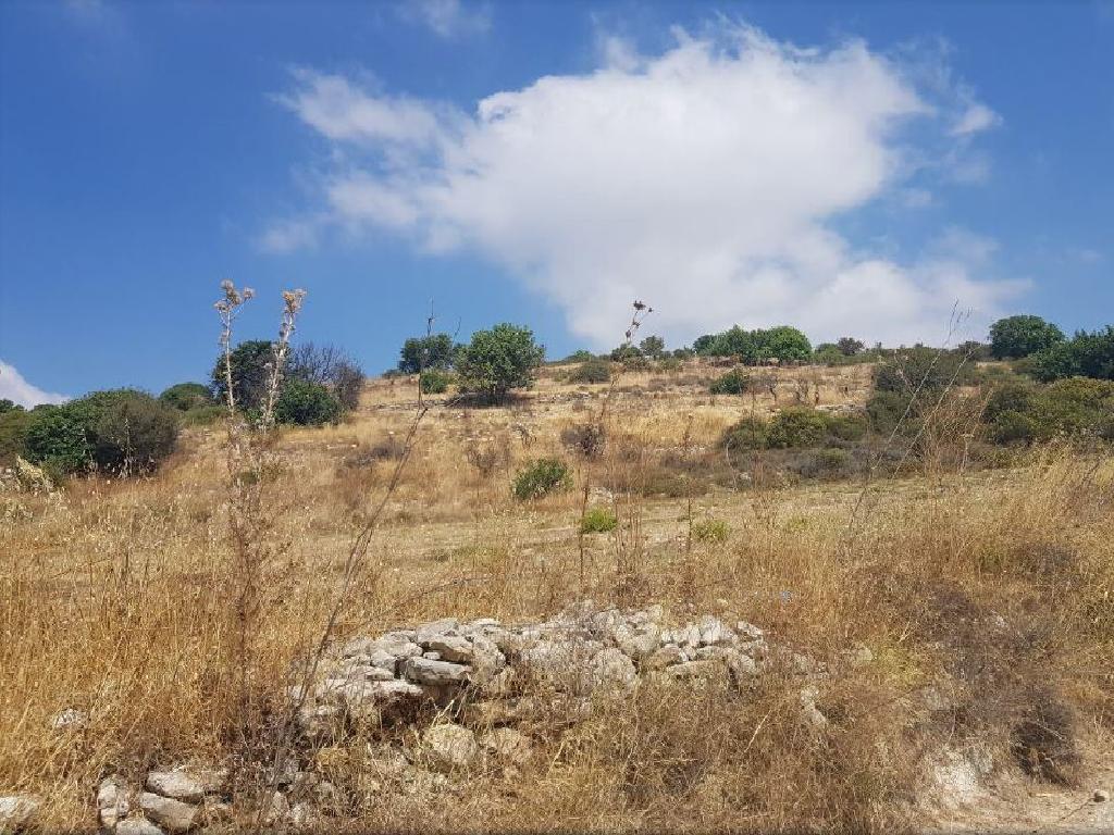Field-Pachna-PR34011