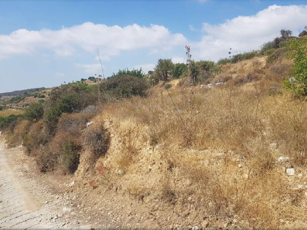 Field-Pachna-PR34011