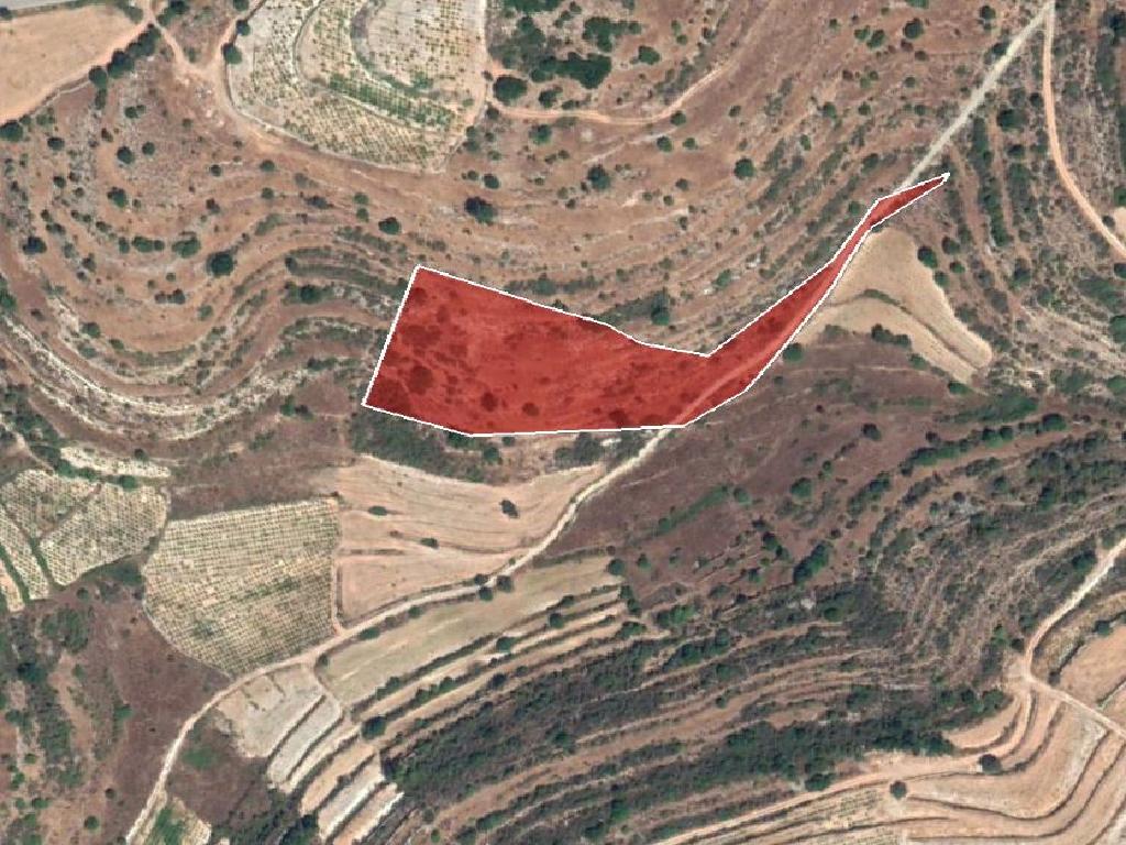 Field-Pachna-PR34011