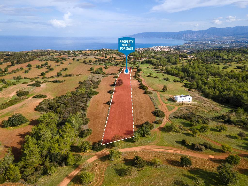 Field (Share) - Neo Chorio, Paphos