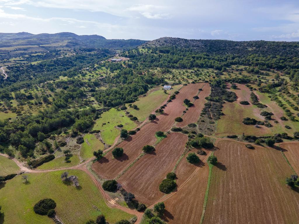 Field (Share) - Neo Chorio, Paphos