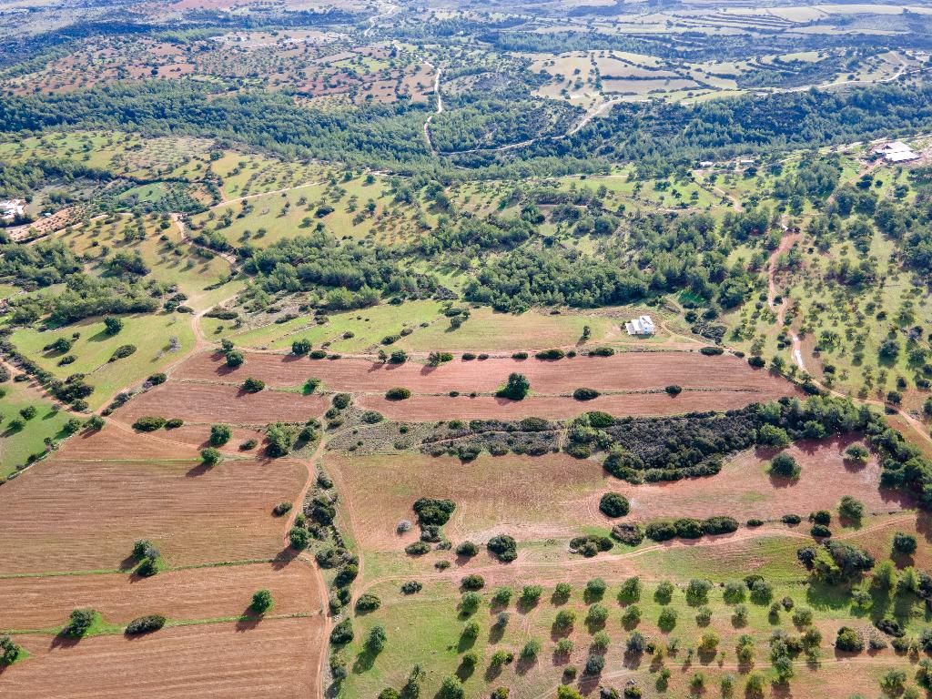 Field (Share) - Neo Chorio, Paphos