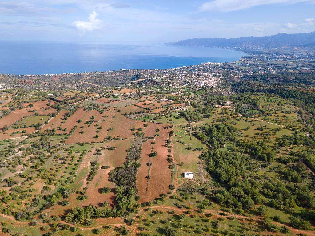 Field (Share) - Neo Chorio, Paphos