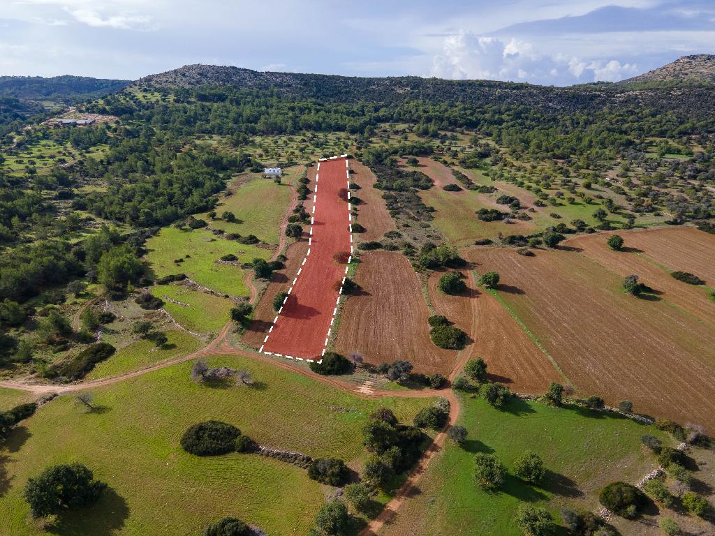 Field-New Chorio-PR33972