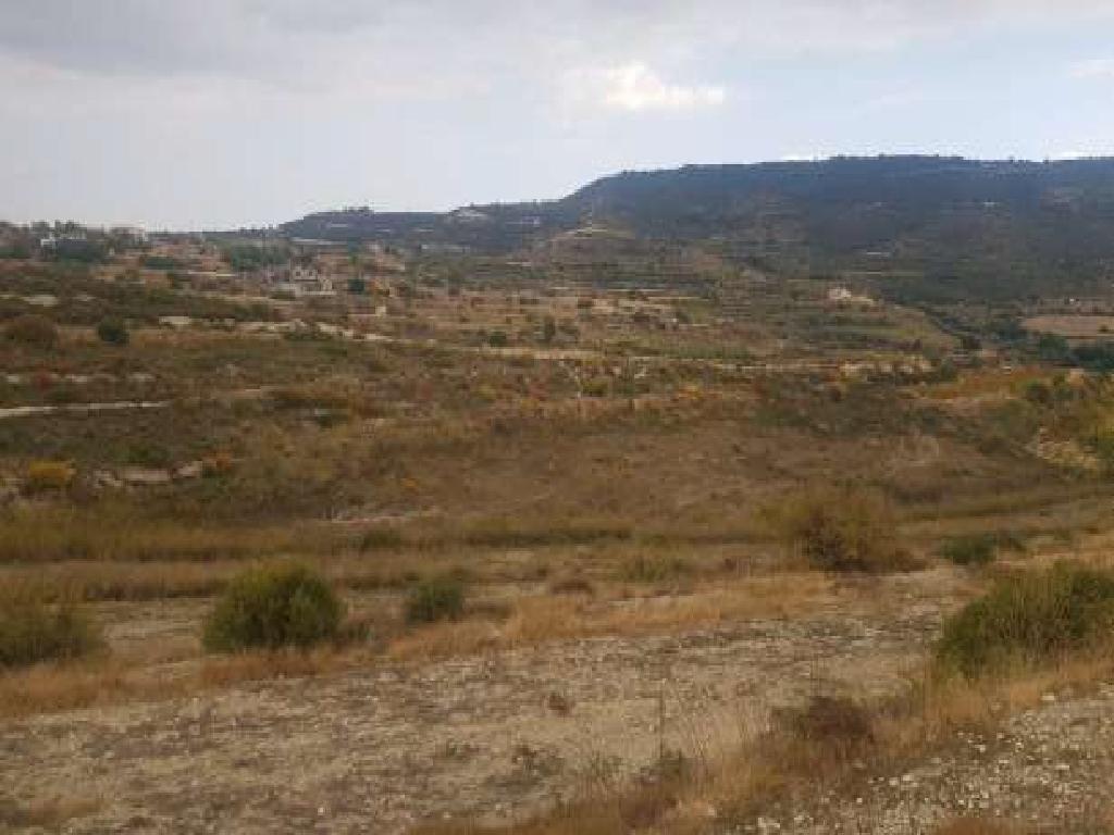 Field-Agios Amvrosios-PR35132