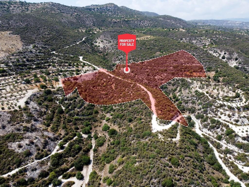 Field-Limnatis-PR35685
